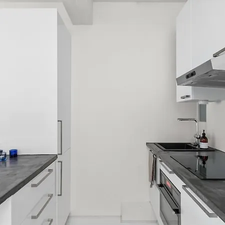 Apartment Scandinavian Attic In The Center *