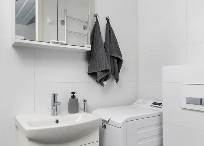 公寓 Scandinavian Attic In The Center 赫尔辛基